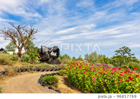 美瑛 (9月　北海道　晴れ) 96857769