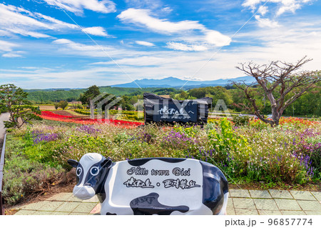 美瑛 (9月　北海道　晴れ) 96857774