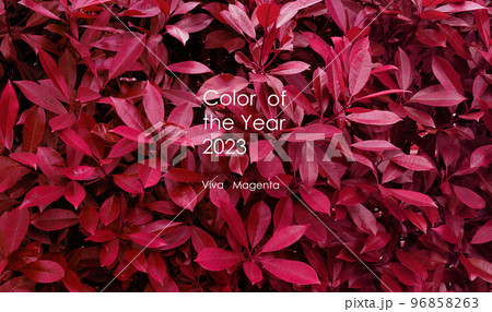 Leaves pattern background in color viva magenta 96858263