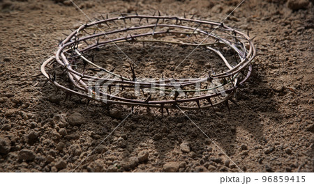 Thorn wreath with crown shadow Thorn wreath with crown shadow 96859415
