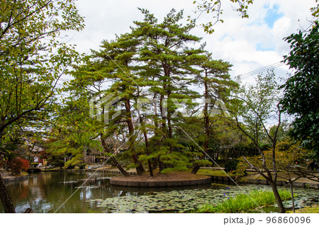 国指定史跡・名勝　有備館　回遊式池泉庭園　兜島の松 96860096