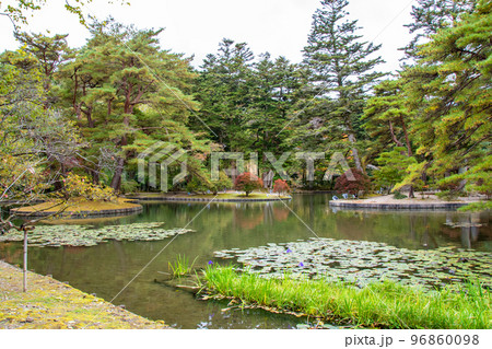 国指定史跡・名勝 有備館 回遊式池泉庭園 季節外れの菖蒲 国指定史跡・名勝 有備館 回遊式池泉庭園 季節外れの菖蒲 96860098