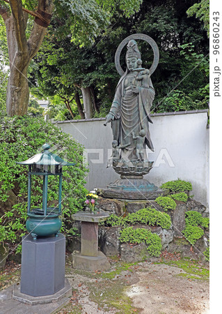 金泉寺(和光) 金泉寺(和光) 96860243