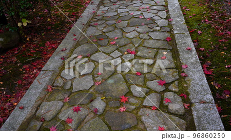 播州清水寺の紅葉 播州清水寺の紅葉 96860250
