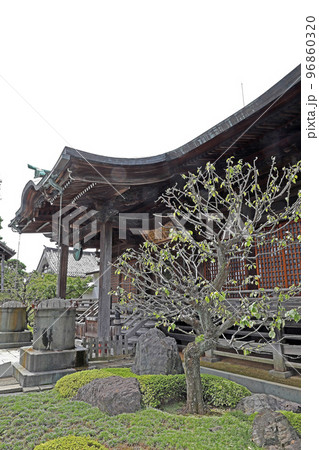 吹上観音東明寺(和光) 吹上観音東明寺(和光) 96860320