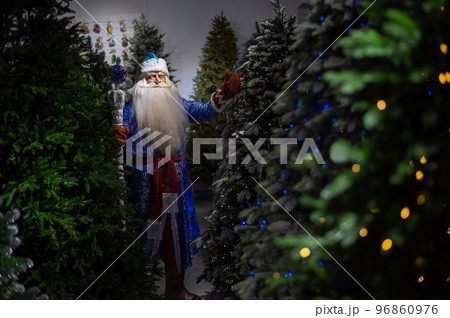 Russian Santa Claus with a staff in a store of artificial Christmas trees.  96860976
