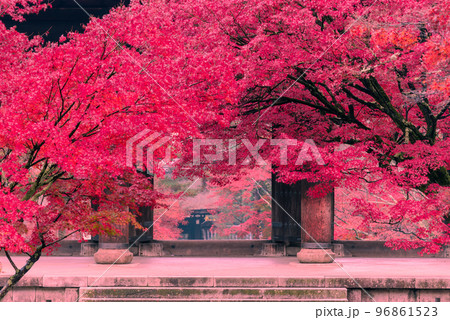 深紅に染まる南禅寺三門_8062 96861523