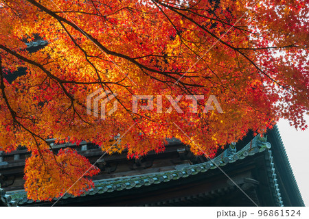 南禅寺三門の紅葉_1861 96861524
