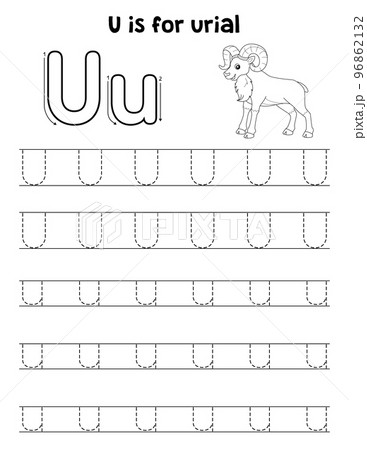Urial Animal Tracing Letter ABC Coloring Page U 96862132