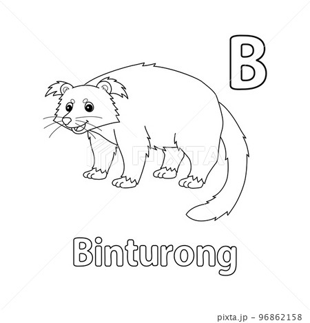 Binturong Animal Alphabet ABC Isolated Coloring B 96862158