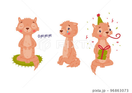 Cute Little Xerus Character with Pretty Snout Meditating, Crying and Blowing Whistle Vector Set 96863073