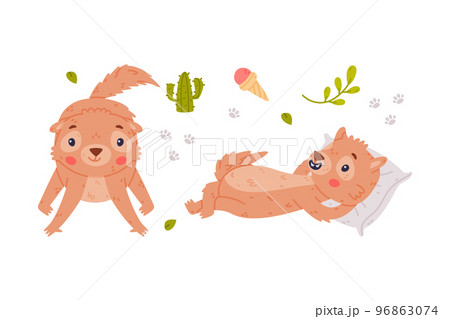 Cute Little Xerus Character with Pretty Snout Lying on Pillow and Standing Vector Set Cute Little Xerus Character with Pretty Snout Lying on Pillow and Standing Vector Set 96863074