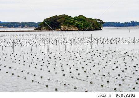 日本三景　高曇り松島湾　福浦橋から海苔養殖場と翁島を展望する 96863292