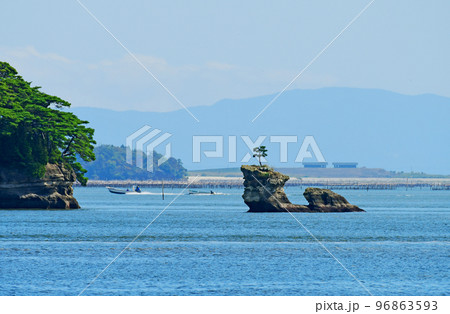 日本三景　快晴の松島湾西岸　浪打浜公園から望む千貫島 96863593