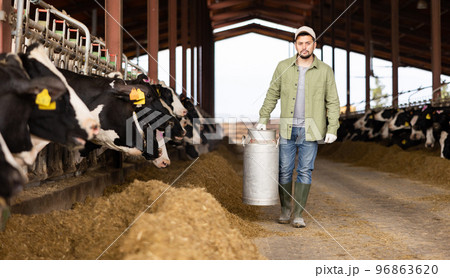 Farmer carrying milk churn near stall with cows in cowshed 96863620
