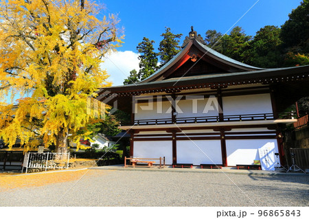 【岡山県】晴天の吉備津神社の祈祷殿と神木 96865843