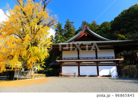【岡山県】晴天の吉備津神社の祈祷殿と神木 【岡山県】晴天の吉備津神社の祈祷殿と神木 96865845