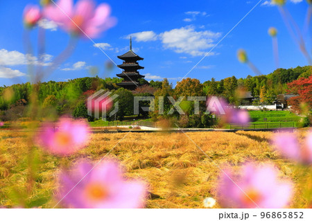 【岡山県】晴天の備中国分寺の五重塔 96865852