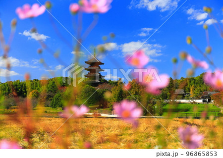 【岡山県】晴天の備中国分寺の五重塔 【岡山県】晴天の備中国分寺の五重塔 96865853