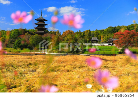 【岡山県】晴天の備中国分寺の五重塔 【岡山県】晴天の備中国分寺の五重塔 96865854