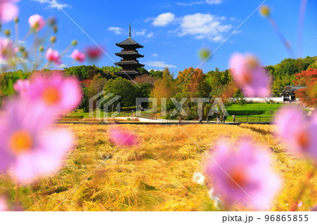 【岡山県】晴天の備中国分寺の五重塔 【岡山県】晴天の備中国分寺の五重塔 96865855