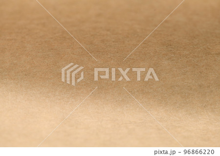 和紙とホウライチク(蓬莱竹)の皮の背景素材 和紙とホウライチク(蓬莱竹)の皮の背景素材 96866220