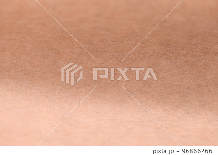 和紙とホウライチク(蓬莱竹)の皮の背景素材 和紙とホウライチク(蓬莱竹)の皮の背景素材 96866266