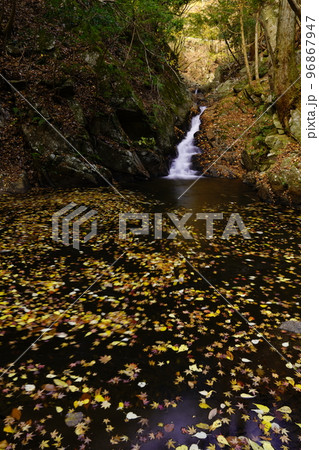 滝壷と紅葉 96867947