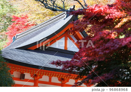 紅葉の大峰山龍泉寺 奈良県天川村 紅葉の大峰山龍泉寺 奈良県天川村 96868968