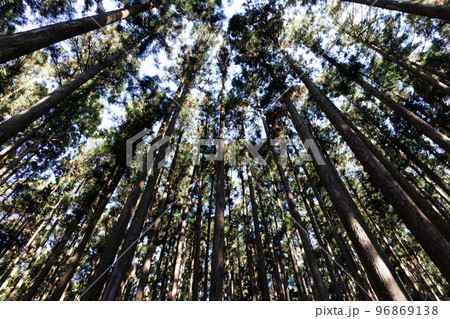 神域　厳かで神聖な場所 96869138