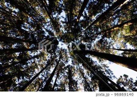 神域　厳かで神聖な場所 96869140