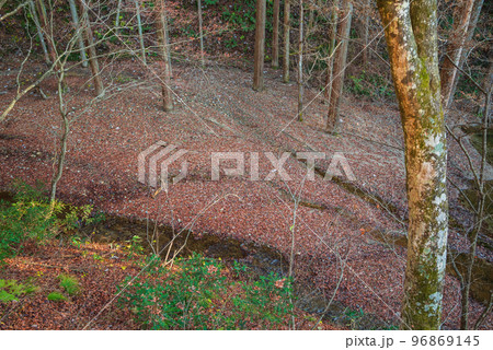 【仁科三十三ヶ所観音霊場】新引沢【仁科二十一番・滝ノ入観音】 96869145