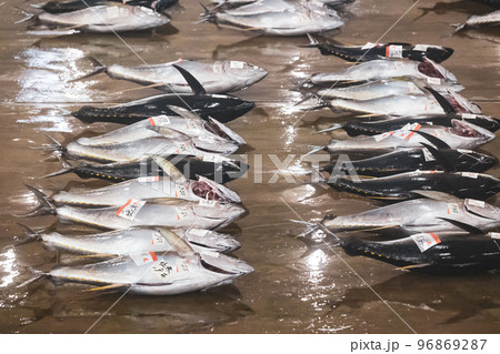 南紀勝浦港マグロの競りの様子 96869287