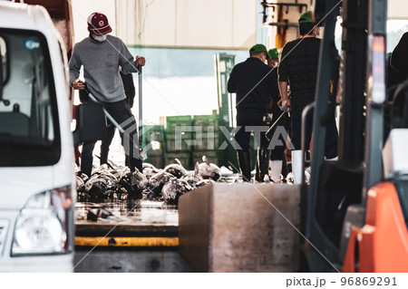 南紀勝浦港マグロの競りの様子 南紀勝浦港マグロの競りの様子 96869291