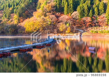 《東京都》秋の奥多摩湖・紅葉のドラム缶橋 《東京都》秋の奥多摩湖・紅葉のドラム缶橋 96869398