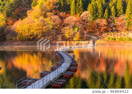 東京都》秋の奥多摩湖・紅葉のドラム缶橋の写真素材 [96869422] - PIXTA