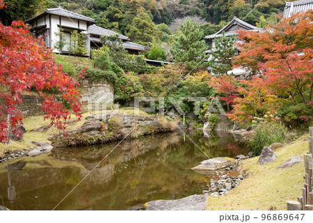 秋の円覚寺 妙香池 秋の円覚寺 妙香池 96869647