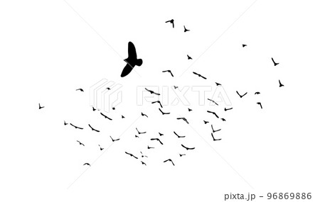 A flock of flying birds. Free birds. Vector illustration 96869886