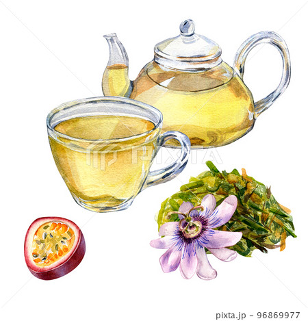 Composition of glass teapot and cup, passion flower watercolor illustration isolated on white. 96869977