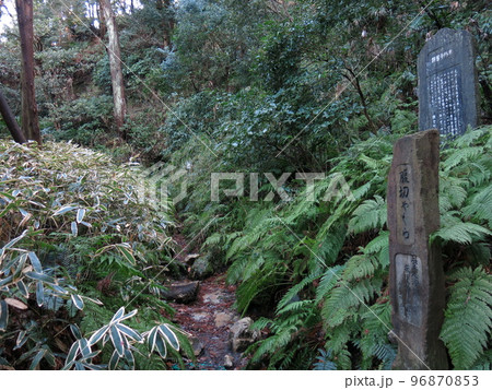 鎌倉市の東勝寺跡にある北条高時腹切りやぐら 96870853