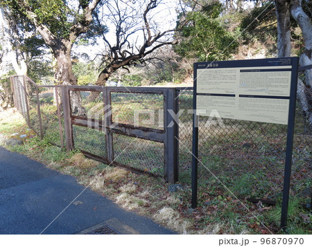 鎌倉市の東勝寺跡（鎌倉幕府滅亡の地） 96870970