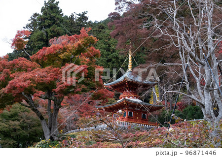 勝尾寺 勝尾寺 96871446