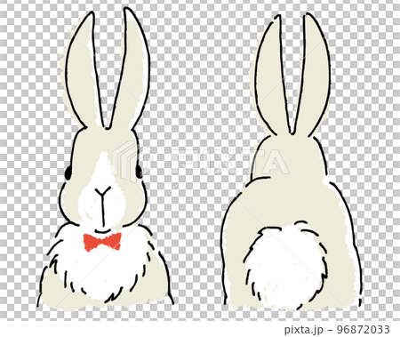 蝶ネクタイのうさぎさん 正面とおしりがカワイイ後ろ姿のイラスト素材