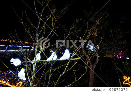 冬のイルミネーションShibata Fantasy Illumination2022　宮城県柴田町 96872076