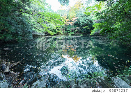 伊勢神宮　水鏡の御池 96872257