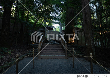 伊勢神宮 木漏れ日の参道 伊勢神宮 木漏れ日の参道 96872275