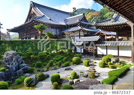 秋の滋賀県大津市 西教寺の本坊庭園と本堂 96872537