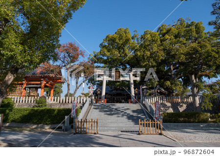 百舌鳥八幡宮 96872604