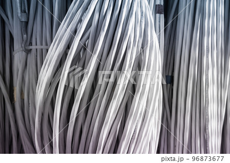 detail of large number of ethernet cables tied together connecting racks inside server room 96873677