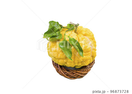 獅子柚子(鬼柚子) 獅子柚子(鬼柚子) 96873728